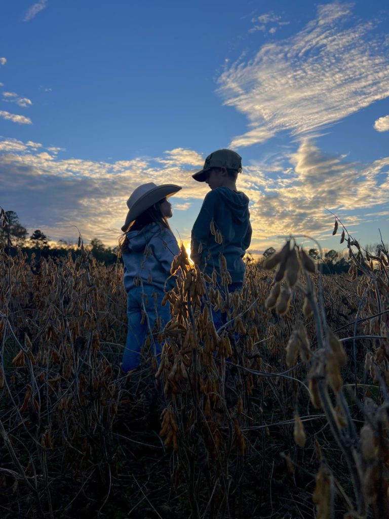 Southern Siblings by Olivia Wheeler