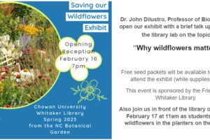 Wildflowers Exhibit