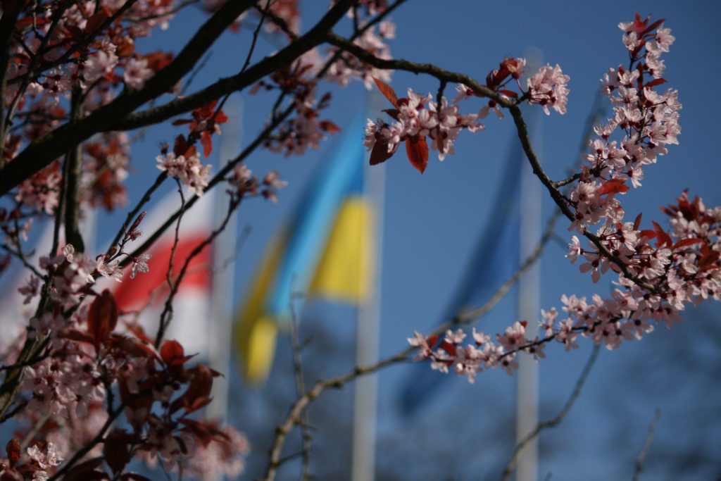 Flags by Jan Gastal